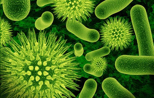 ظهور باکتری مقاوم به آنتی بیوتیک های موجود