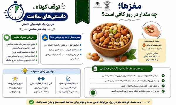 مغزها؛ چه مقدار در روز کافی است؟
